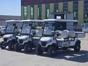 Carro de Carga, Buggy de Golf, Camioneta Eléctrica, Vehículo Utilitario de Transporte, Buggy de Golf con Certificación CE para Carreteras No Públicas - Product Image 6