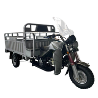 150CC 200 250 CC essence Cargo Tricycle KekeTrois roues voiture Tricycle pour adultes ouvert motorisé populaire moto à vendre