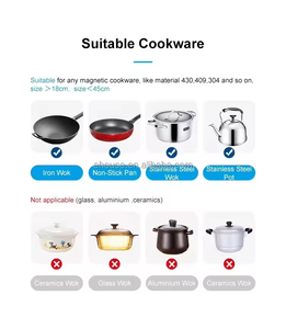 Nuovissimo Fornello a Induzione Solare DC Singolo 24V 48V a Batteria con Design da Incasso o da Tavolo per Uso Interno/Esterno per Hotel per il Mercato USA - Product Image 6