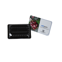 DLZ-420H Ce Standaard Volautomatische Dadelkaasworst Vacuüm Thermovormende Verpakkingsmachine Automatische Thermovorm Pack Machine