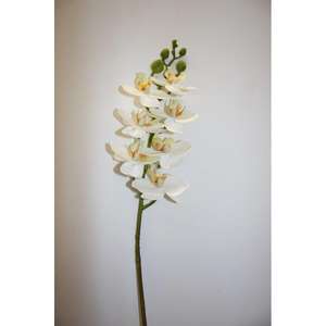 ฟลาเลโน มินิ สเปรย์ X7 CR ออทอโมติค - Product Image 1