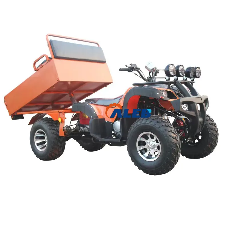 Hoge Efficiëntie 2 Wheel Drive Cargo Farm Atv Met Trailer 200cc Quad