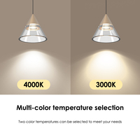 Plafonniers linéaires rétractables à LED parfaits pour un usage domestique ou commercial