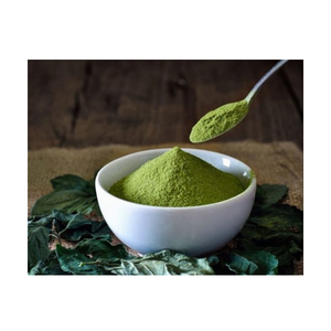 Extrait doux de thé vert Camellia Sinensis en poudre botanique naturelle pour mélanges de thé, préparations de boissons et formulations alimentaires - Product Image 1