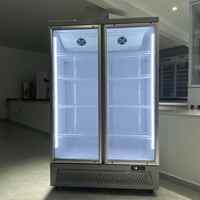 Réfrigérateur vertical pour boissons à double porte vitrée à fermeture automatique, refroidissement par air, avec éclairage LED blanc froid