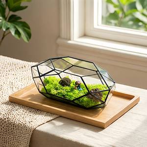 Mini serre créative en verre pour plantes, boîte de propagation pour plantes succulentes, terrarium miniature en <span class=keywords><strong>bouteille</strong></span> pour micro-paysages et mousse - Product Image 3