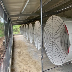 Equipamento de Controle de Alimentação de Aves em Fazenda de Frango Comercial Totalmente Automático - Product Image 6