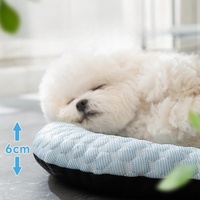 Lit de refroidissement d'été pour chien Abaisser la température Tapis de refroidissement pour chien Pet Ice Mat
