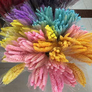 Lot de 10 tiges naturelles séchées au soleil de <span class=keywords><strong>millet</strong></span>, d'épis de blé et de sorgho, matériel floral séché pour bouquets faits main - Product Image 3