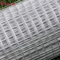 1m x 10m Epaisseur Fil 0,75mm Maille 19x19mm Grillage Maille Grille métallique Voliere Acier Galvanise