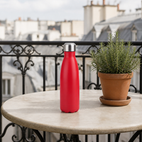 Bouteille d'eau isotherme en acier inoxydable 500 ml, intérieur 304, extérieur 201, bouchon à vis pour les voyages