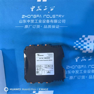 โมดูลอินพุตดิจิตอล Bihl+Wiedemann BWU2602 Profibus DP 24V เยอรมนี - Product Image 4