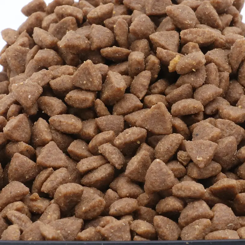 Aliments secs sans grains de haute qualité pour chats Aliments pour animaux de compagnie à base de protéines brutes pour toutes les étapes de la vie