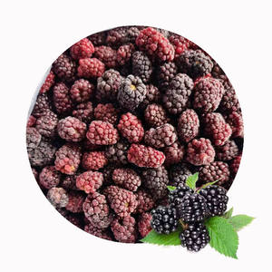 Mûres surgelées XMSD, best-seller |   Fruits surgelés de qualité supérieure pour les fabricants de boissons, les marques de smoothies et les marchés d'exportation - Product Image 4