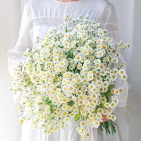 Kunstbloemboeket, enkelvoudige steel, kamille, mini madeliefje, wilde chrysanthemum, zijde, nep bloemen, bruiloft fotografie decoratie
