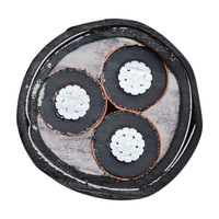 1,8/3Kv 16mm-120mm Cable blindado de 3 núcleos con conductor de aluminio XLPE/STA/PVC para construcción Varios tamaños disponibles