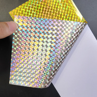 Film holographique auto-adhésif feuille Flash haute réflexion gabarits échelle poisson échelle grille Laser autocollant