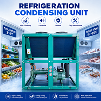 Equipo de Refrigeración de Alto Rendimiento para Proyectos de Refrigeración Comercial y Aplicaciones en la Industria Alimentaria