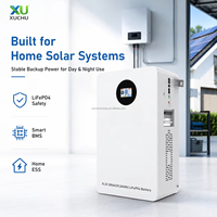 Batterie de stockage d'énergie solaire domestique hybride intelligente murale LiFePO4 5.12kWh 10.24kWh IP65 51.2V 100Ah/200Ah CAN/RS485