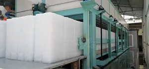 Machine automatique de fabrication de blocs de glace ICESTA 50kg longue durée de vie à économie d'énergie fiable élevée de 20 tonnes