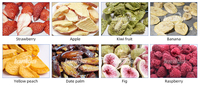 Hoge Efficiëntie Automatische Gesneden Fruit Vacuüm Vriesdrogen Lijn Automatische Wassen & Lyofilisator Voor Banaan/Aardbei