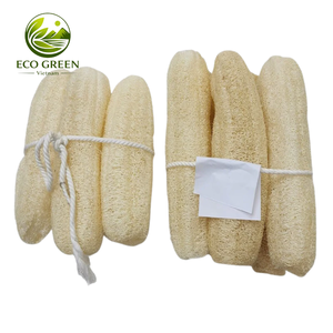 Jarrones de Cerámica con Esponja Natural de Lufa de Vietnam, Ecológicos, Forma Natural, Crudos, para Decoración del Hogar, Tamaño Personalizable - Product Image 1