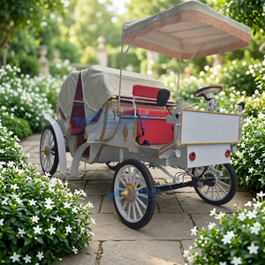 Charrette de tourisme électrique sans chevaux, chariot de tourisme personnalisé, fabricant de charrettes de tourisme à vendre - Product Image 1