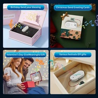 Module sonore en plastique téléchargeable et enregistrable par USB, haut-parleur personnalisé pour jouet en peluche DIY, boîte à son pour cadeau