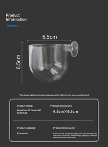 Pot de culture en verre cristal <span class=keywords><strong>pour</strong></span> plantes aquatiques, avec ventouse, fixation facile <span class=keywords><strong>pour</strong></span> aquarium et aquascape - Product Image 5