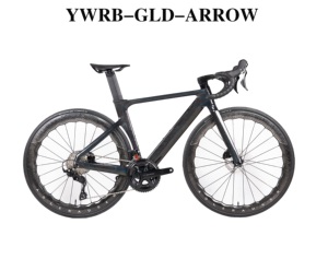GLD-ARROW YWRB-GLD-ARROW Vélo de Course VTT/Route 2*12 Vitesses 700C*28C 29 Pouces avec Cadre, Fourche et Guidon en Fibre de Carbone, Freins à Disque Hydrauliques - Product Image 4