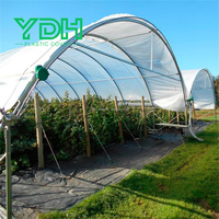 Grande Serre Agricole à Portée Unique Usine de Bleuets Structure en Acier Galvanisé Ventilation Latérale Évitement de la Pluie Toit Bleu
