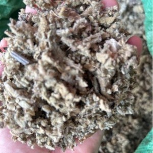 Foglie di Verbasco Selvatico Essiccate Naturali, Erba Tagliata di Verbascum Thapsus per Tisane - Product Image 2