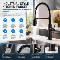 Robinet de cuisine commercial noir mat avec douchette extractible, mitigeur monocommande pour évier, montage sur plan pour maison et restaurant