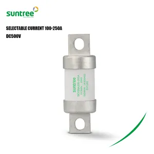 Suntree-Tipos de fusibles automáticos para coche, venta de fábrica, 100A/125A/150A/200A/250Amp, DC 500V