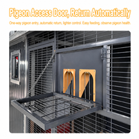 Cage à pigeons en bois massif de grande taille, motif uni, pour l'élevage domestique, avec isolation hivernale et protection anti-tytan.