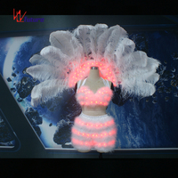 Disfraz de baile de Samba LED Carnaval luminoso/espectáculo de escenario en T Disfraces sexy con alas de plumas Control inalámbrico programable