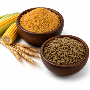 Aditivos Alimenticios Premium Gururaj para Mejorar la Nutrición del Ganado con Ingredientes de Maíz y Trigo, Proteínas de Grado Alimenticio - Product Image 2