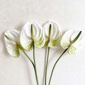 Grande plante artificielle d'Anthurium blanc et vert, centre de table, décoration au toucher réaliste pour la fête des mères et les mariages - Product Image 2