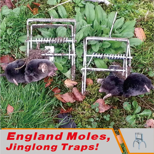 Piège à taupes en fil métallique pour extérieur MoleHunter, en acier galvanisé, à griffes en ciseaux, pour le contrôle et l'élimination des taupes - Product Image 2