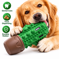 Jouet à mâcher pour chien en caoutchouc durable en forme de cactus, anti-anxiété, couineur, pour le nettoyage des dents, vente en gros