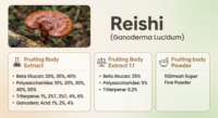 Poudre d'extrait de champignon Reishi séché à bas prix en gros Ganoderma Lucidum