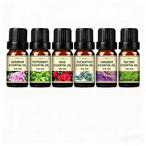 Ensemble d'huiles essentielles <span class=keywords><strong>de</strong></span> matières premières <span class=keywords><strong>de</strong></span> graines d'automne 6*10ML Huile parfumée à la vanille pour diffuseurs et fabrication <span class=keywords><strong>de</strong></span> bougies - Product Image 1