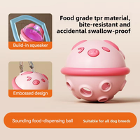 Accessoires pour animaux de compagnie, jouet pour chien, balle d'exercice, matériau de qualité alimentaire, sport en plein air, jouet interactif pour animaux de compagnie, balle à mâcher