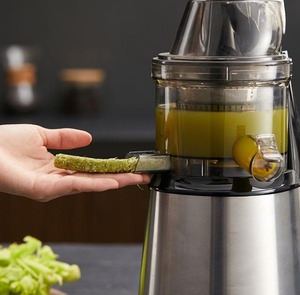 Groothandel Grote Voerchute Kauwen Groente Fruit Sinaasappelsap Extractor Koudgeperste Zware Commerciële <span class=keywords><strong>Juicer</strong></span>