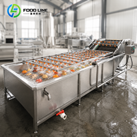 Roltype fruitwasmachine, fruit- en groentewasmachine, fruitwas- en verpakkingsmachine