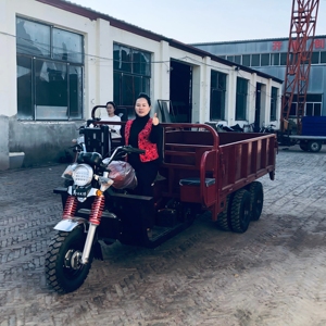 Tricycle de transport à 9 roues refroidi par eau de 400 cm³, charge utile maximale de 2500 kg pour la construction et l'agriculture - Product Image 6