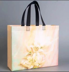 Shoulder <b>Bag</b>&Zipper <b>Bag</b> Non-Woven <b>Foldable</b> Bagembossing <b>Shopping</b> <b>Bag</b> - Product Image 2