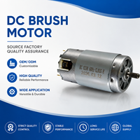 Motor DC Magnet Permanen Berus DN-7812 120V 240V untuk Peralatan Rumah Tangga Blender Genggam Pembuat Susu Kedelai Langsung dari Pabrik