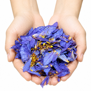 Pétalos de Flor de Loto Azul, Flor de Sueño Lúcido, Nymphaea Caerulea Seca, Estándar Europeo, Hierba Asiática para Fumar/Té/Adorno - Product Image 1