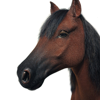 Sculpture de cheval grandeur nature en fibre de verre, ultra-réaliste, décorative, pour l'intérieur des parcs zoologiques, avec poils implantés à la main, pour exposition